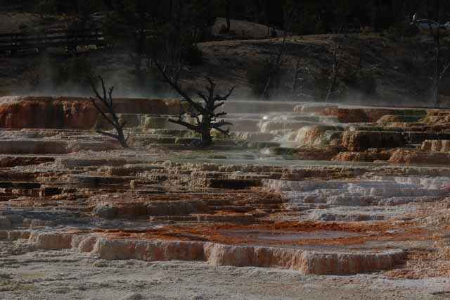The Terraces, Yellowstone geysers